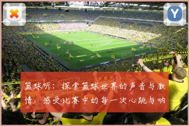 篮球听：探索篮球世界的声音与激情，感受比赛中的每一次心跳与呐喊