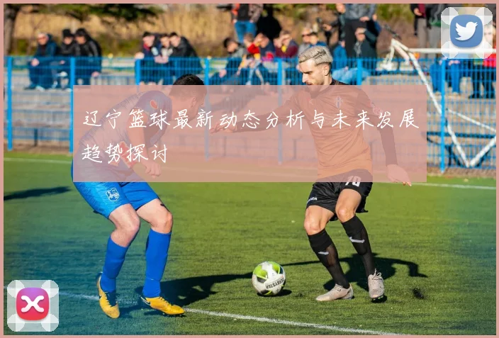 辽宁篮球最新动态分析与未来发展趋势探讨