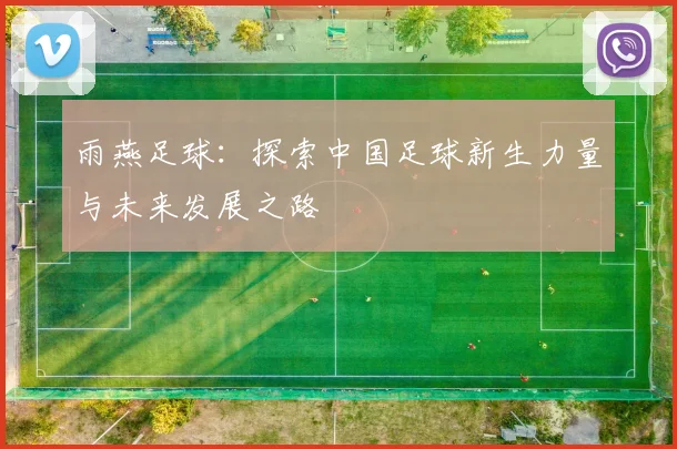 雨燕足球：探索中国足球新生力量与未来发展之路